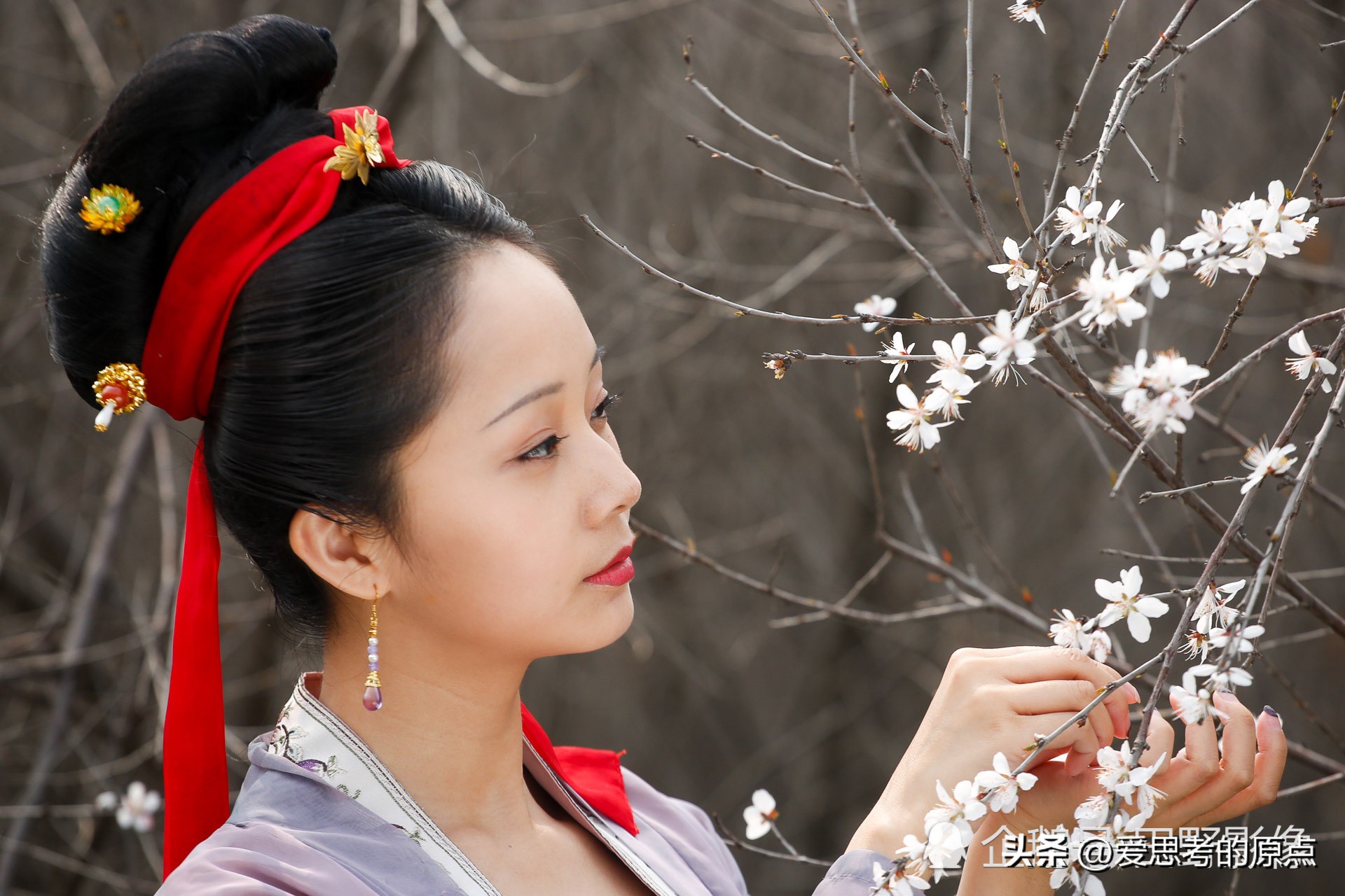 诗经桃之夭夭宜室宜家,桃之夭夭古诗及翻译