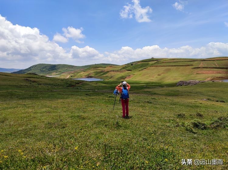 蓝天白云绿草间,蓝天白云草原绿草茵茵风景秀丽