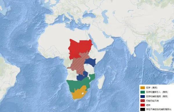 “飞来横祸”，女子买盔犀鸟吊坠获刑10年，对我们有何警示？