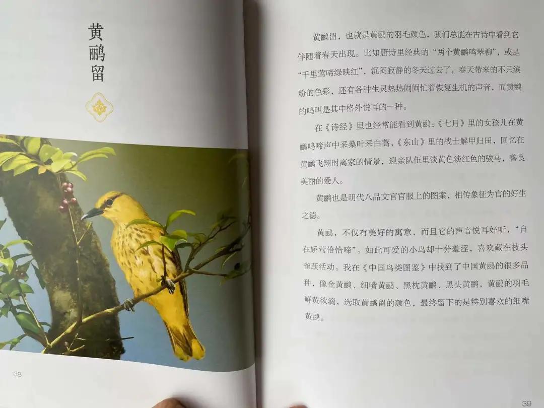 中国传统色100种,中国传统高级配色鲜艳