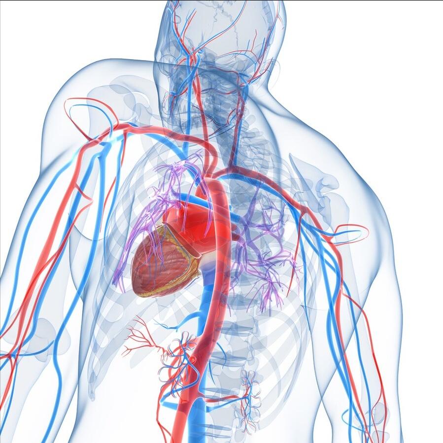 不管身体啥毛病，先给五脏六腑吃饱是第一步，不吃饱谁给你干活