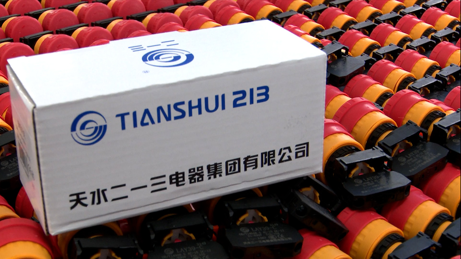 天水213电器有限公司官网招聘,天水213电器有限公司位置