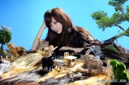 王心凌你一票我一票押韵句子,40岁的王心凌还能又唱又跳