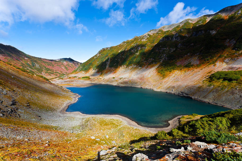 东北农村小伙娶俄罗斯大美女,东北网红娶的俄罗斯人
