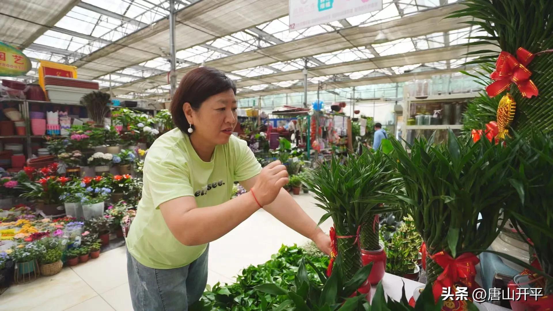 优化营商环境打造公平有序的市场,优化营商环境培育壮大市场主体