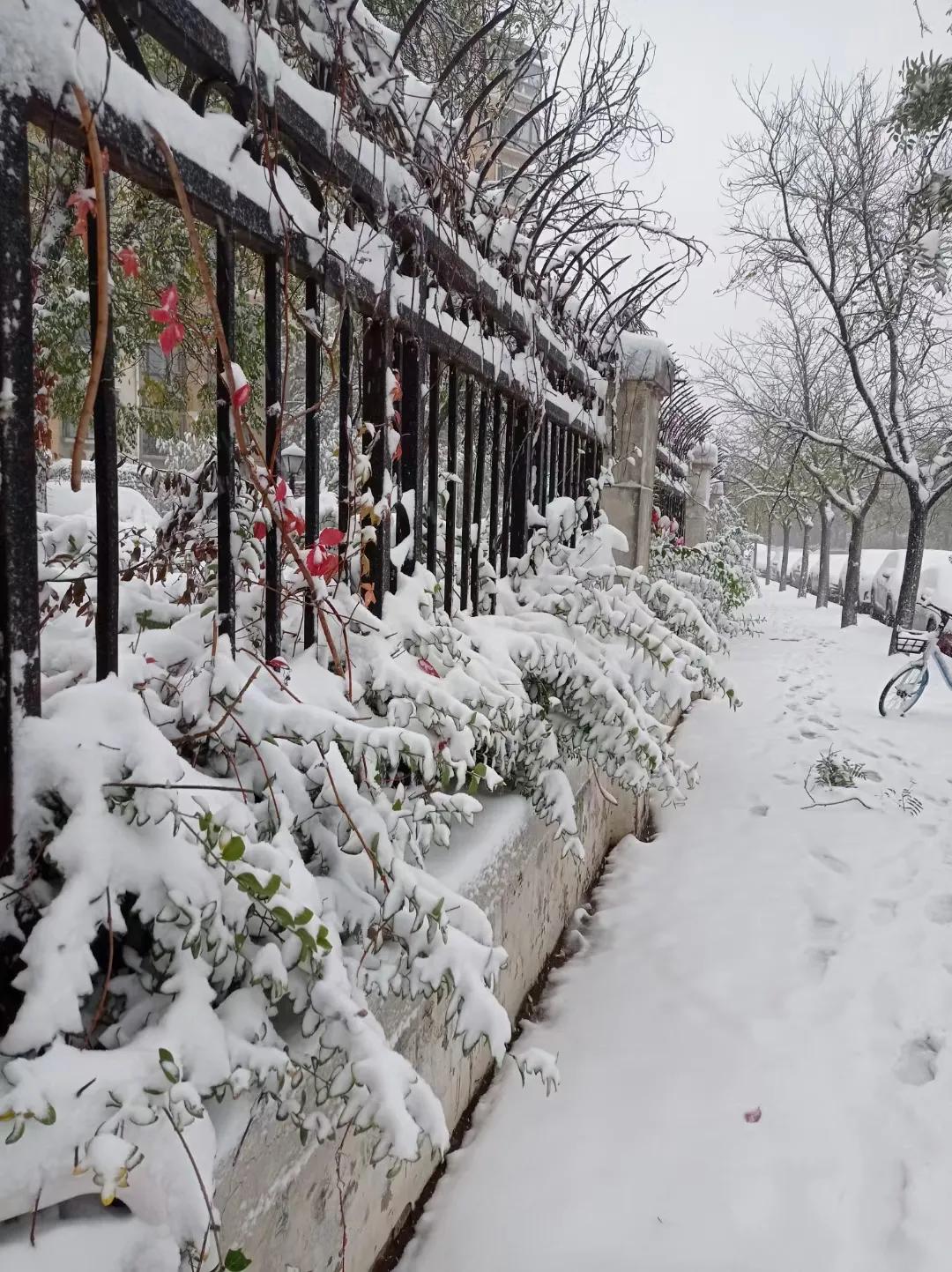 李兰芳歌曲国外翻唱,李兰芳视频大全