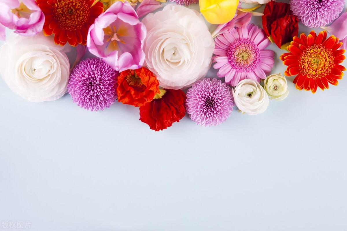 别人问你工资多少高情商回复,问你工资多少高情商回答