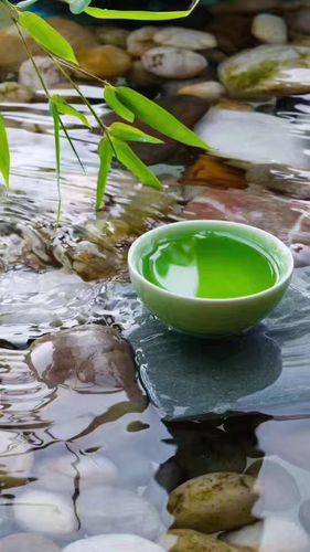 师徒情作文,师徒情深感人的文章