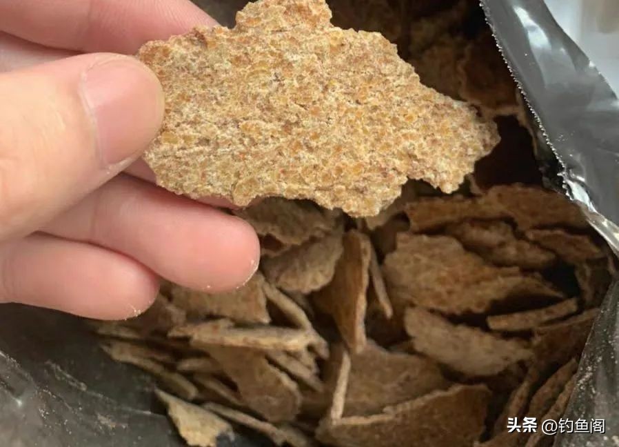 新手怎么能快速钓到鱼,新手怎样才能钓到鱼