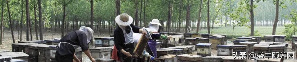 桃源农民一脚踩出稀世珍宝，流失海外近百年的皿天全方罍终得合体