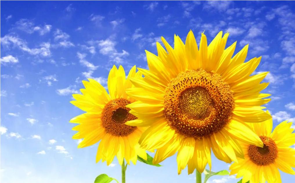 不喜欢发朋友圈的女生什么心理,不爱发朋友圈的女人是怎样的心理