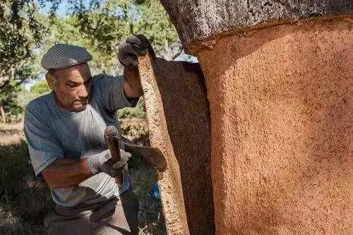 你所不知道的国家冷知识西班牙,西班牙语30秒认识西班牙冷知识