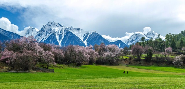 创业企业从0到1必须注重的要领