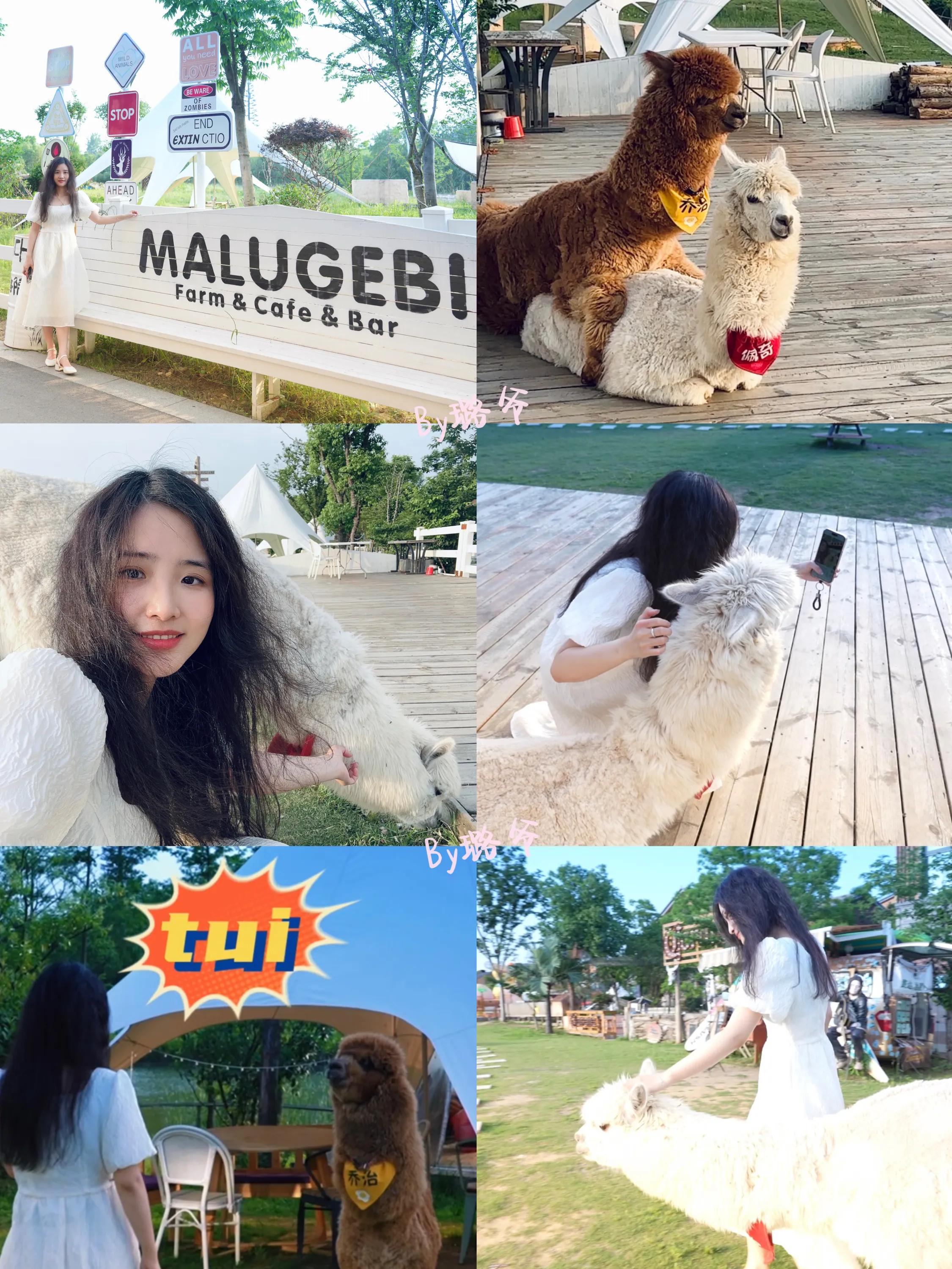 天目湖涵田度假村免费观景台,常州天目湖涵田度假村攻略