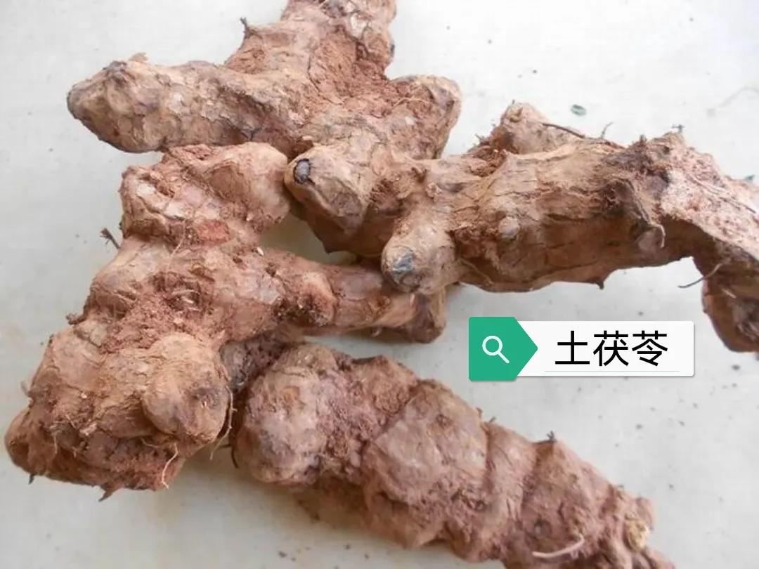 广东土茯苓煲汤配方,土茯苓的功能及作用