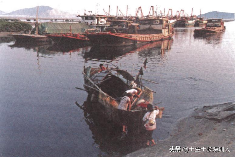 宝安新开的大型购物中心,宝安最大的购物中心叫什么名字