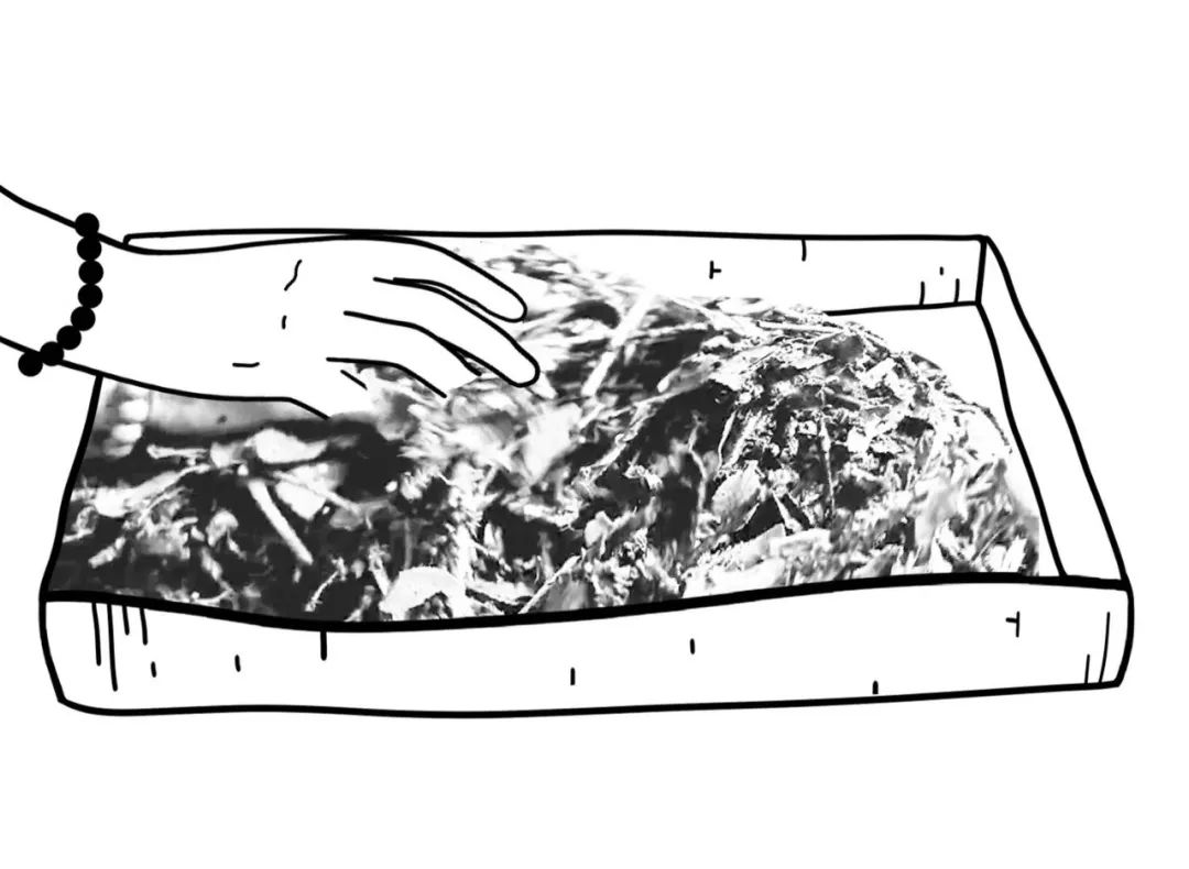 茶马古道滇茶古韵,茶马古道普洱烟茶