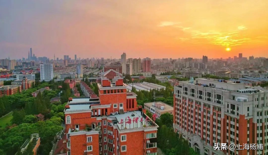 上海理工大学自主招生考试时间,2024年上海理工大学春考招生计划