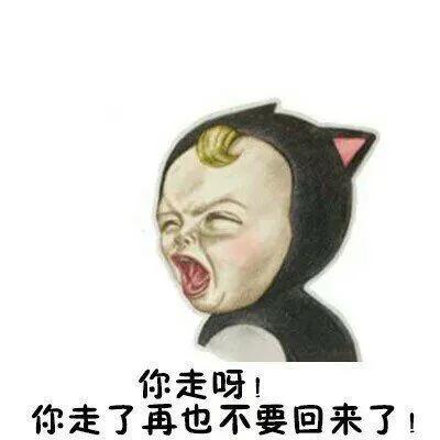 黄紫昌留在河南建业没,黄紫昌出道履历