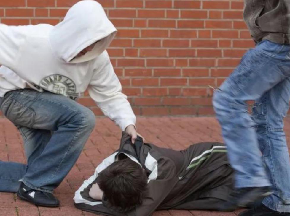 魏巍在日本犯了什么罪,魏巍日本案件审判现场