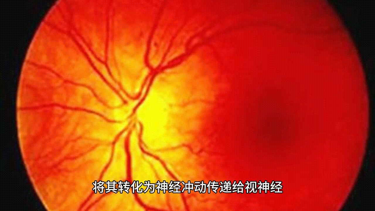 锻炼大脑视神经恢复视力方法,利用大脑潜能提高视力