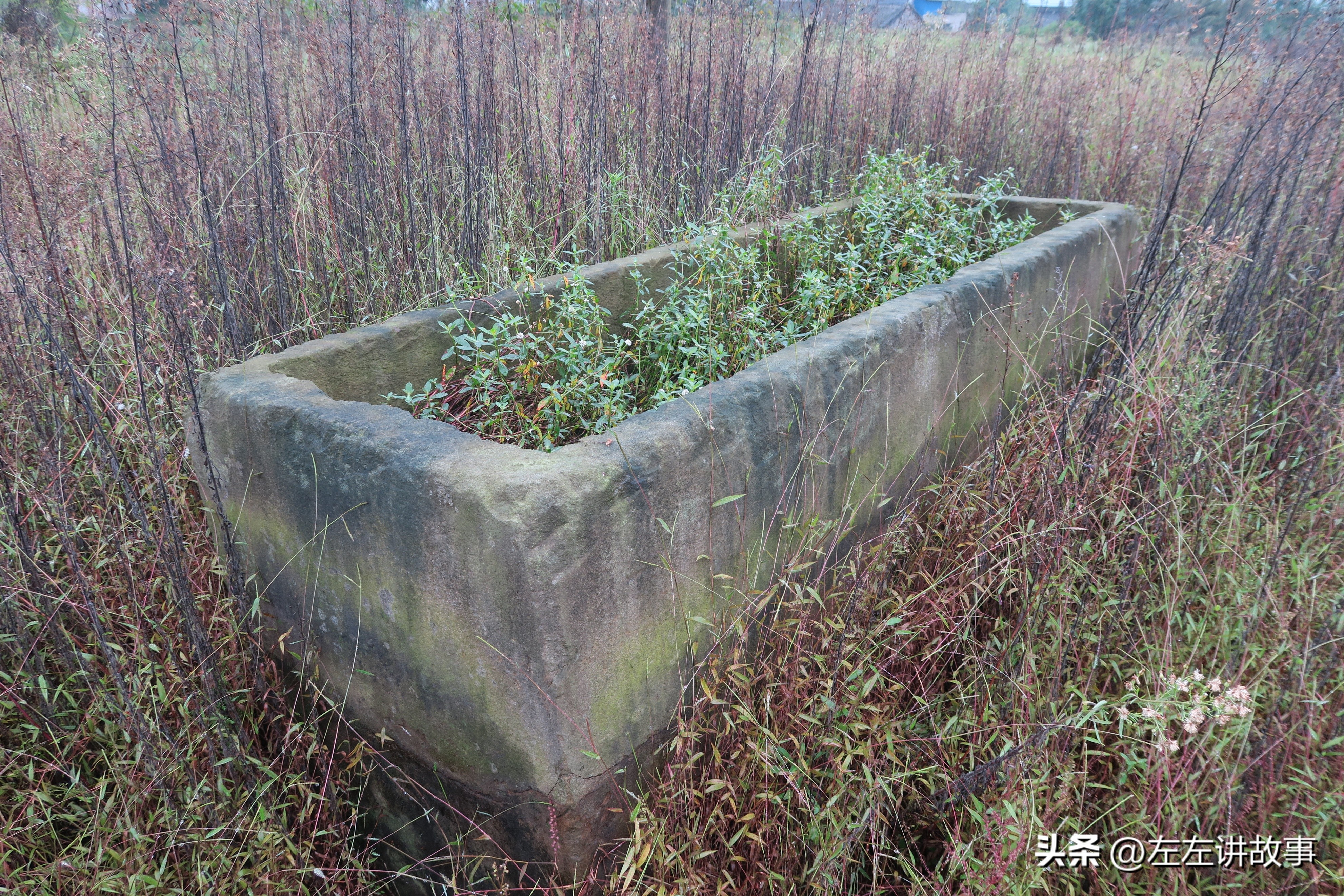 成吉思汗孙子蒙哥简介,成吉思汗子孙蒙哥