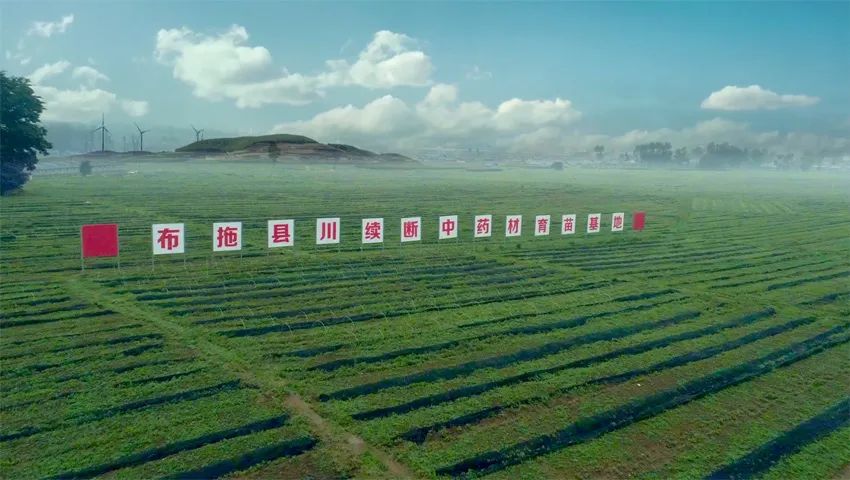 巴山蜀水美图,美图美景精彩绽放