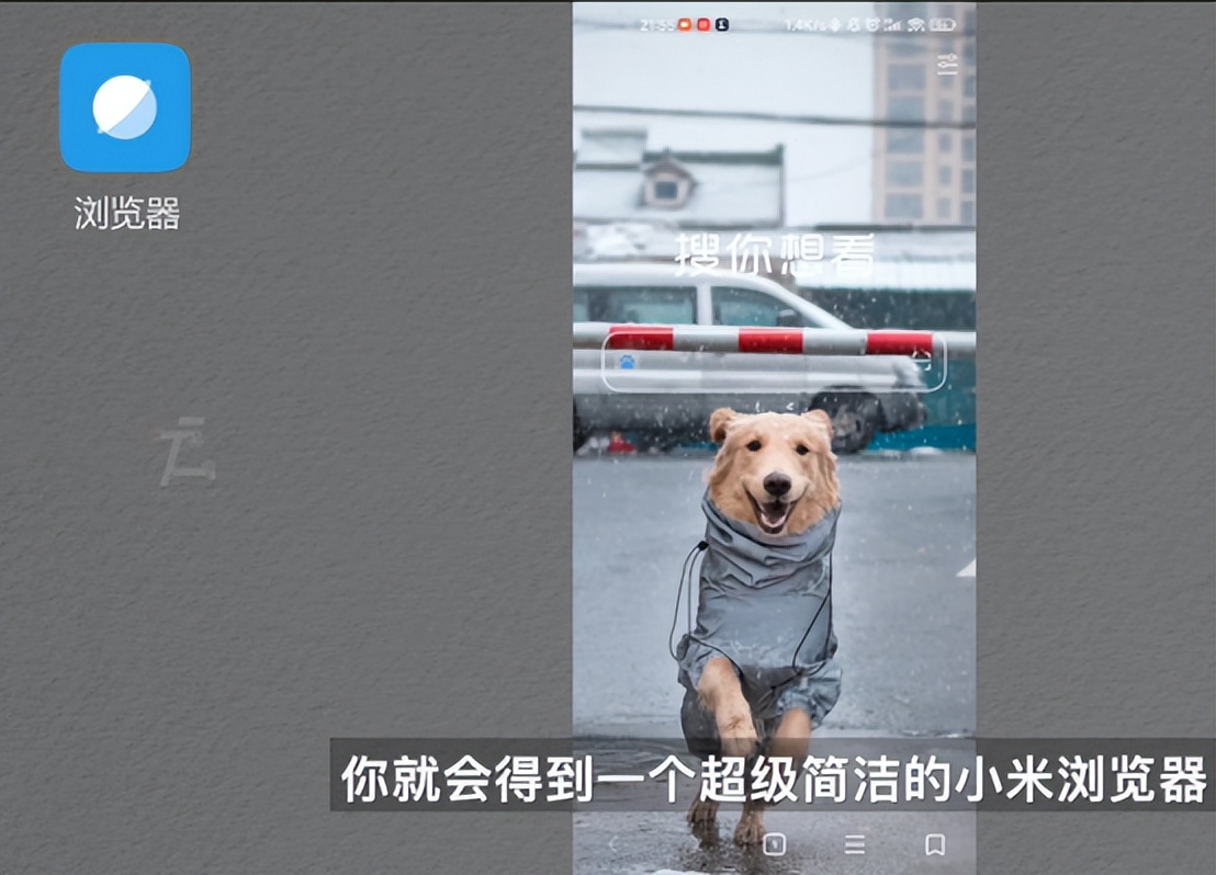 miui浏览器改版,小米浏览器miui12版本