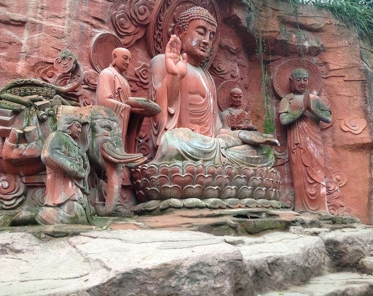 佛教选莲花而不是荷花,荷花与莲花在佛家有何意义