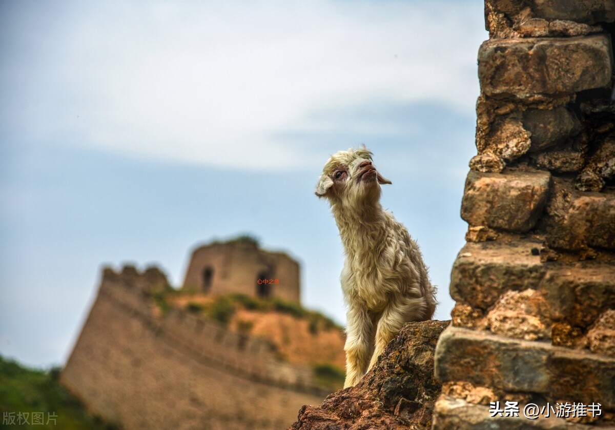 文笔好的穿越历史军事类小说推荐,男主穿越历史草根崛起的小说