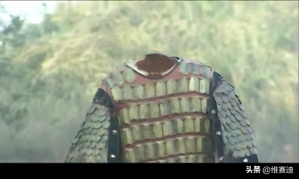 少年包青天动画最恐怖的案件,少年包青天高家庄案件是哪一部