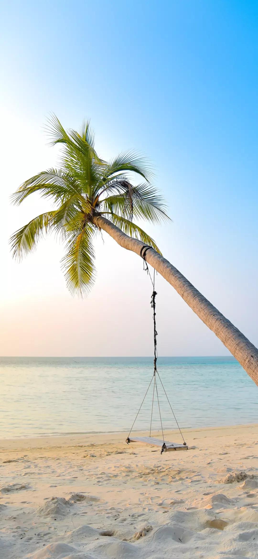 大海壁纸｜大海边，守候朝霞，聆听海浪的乐章