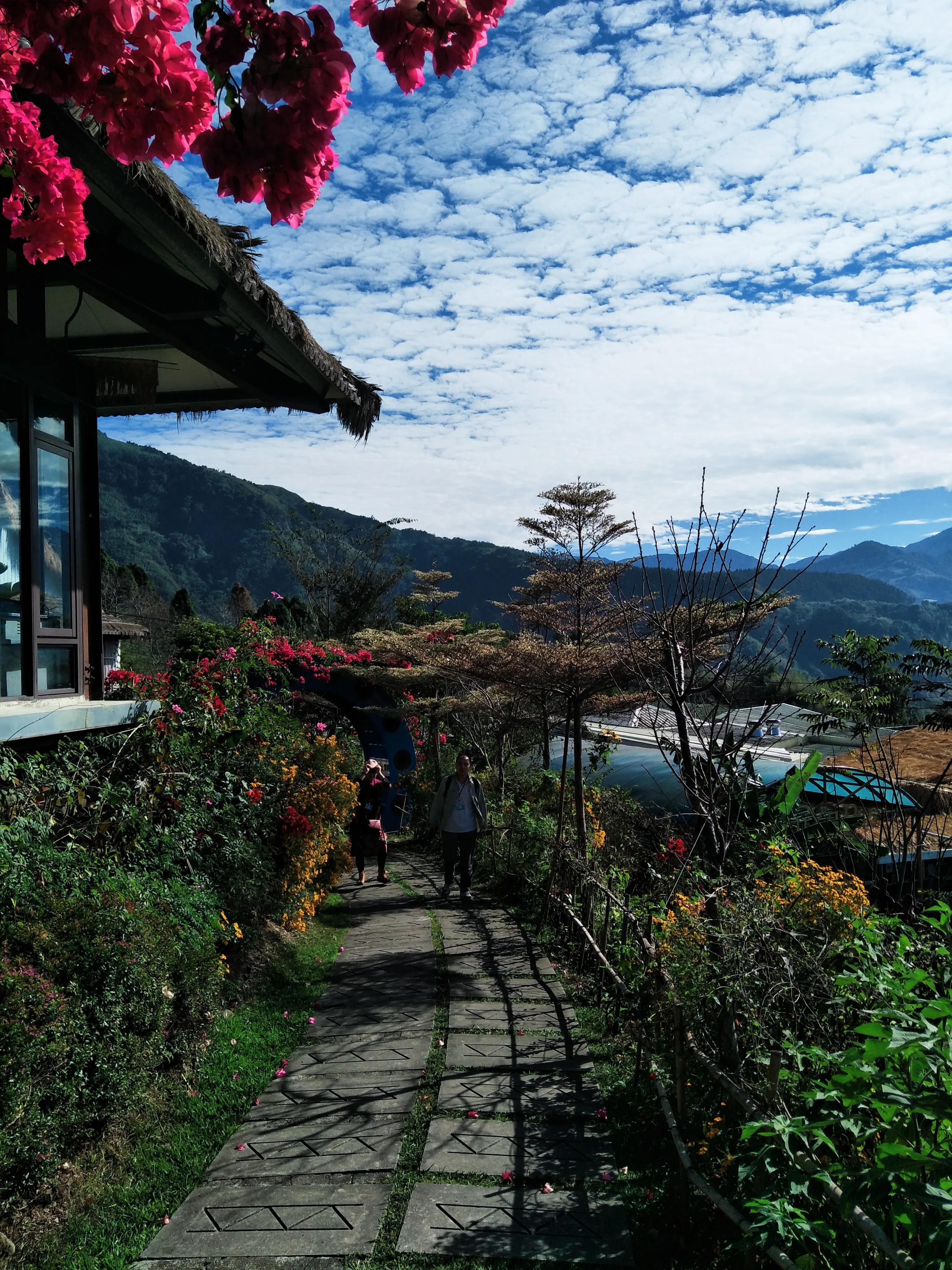阿里山的云雾让人惊愕的是什么,阿里山的云雾莫名的惊愕和喜悦