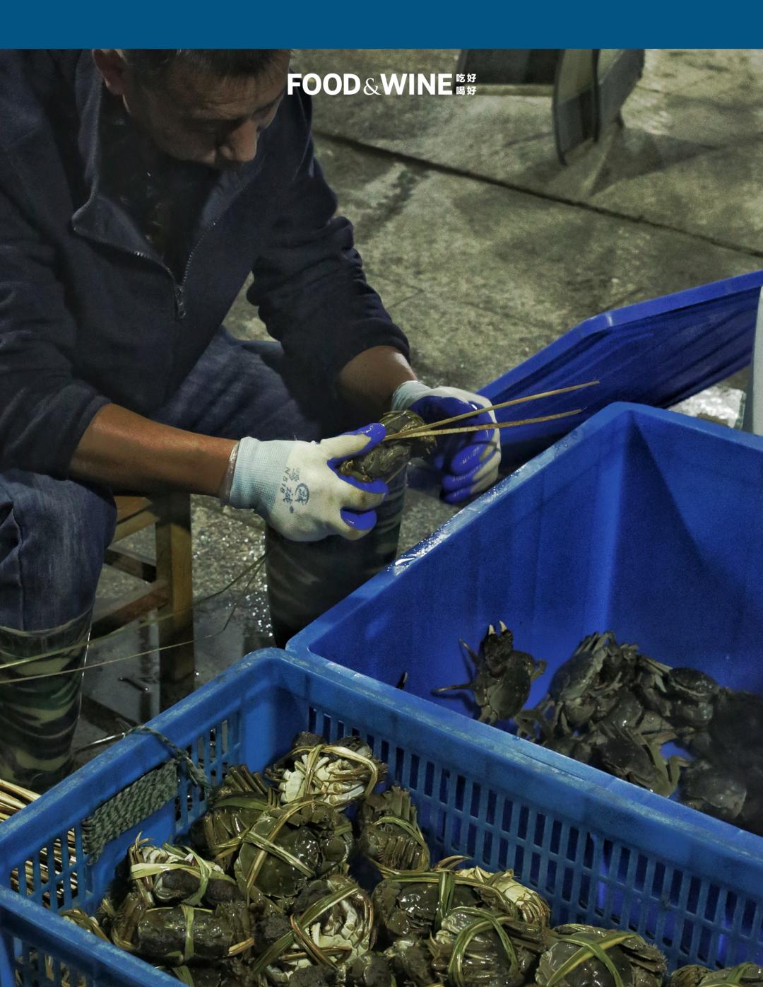 高邮湖螃蟹和洪泽湖螃蟹,阳澄湖高邮湖螃蟹哪个好