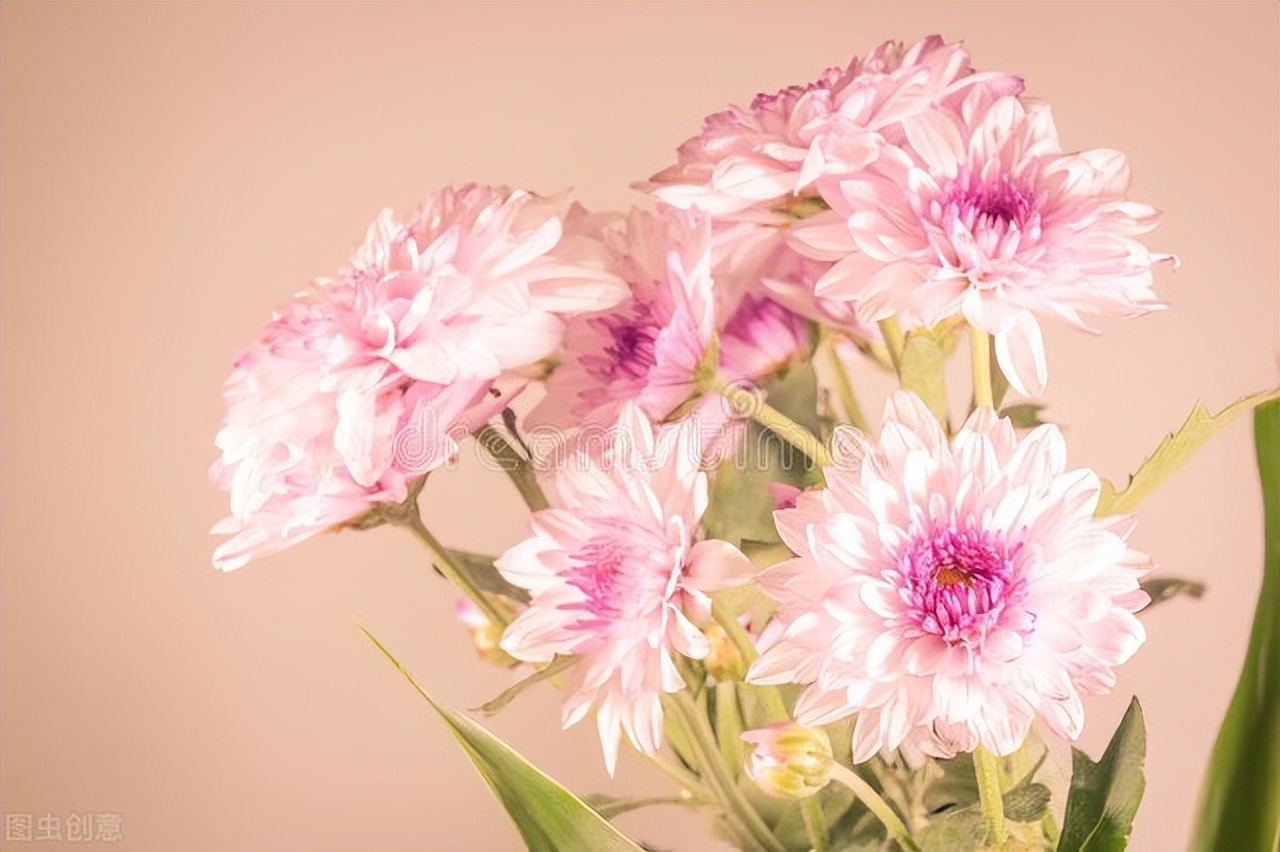 水星狮子座落入第五宫,水星进入狮子座啥意思