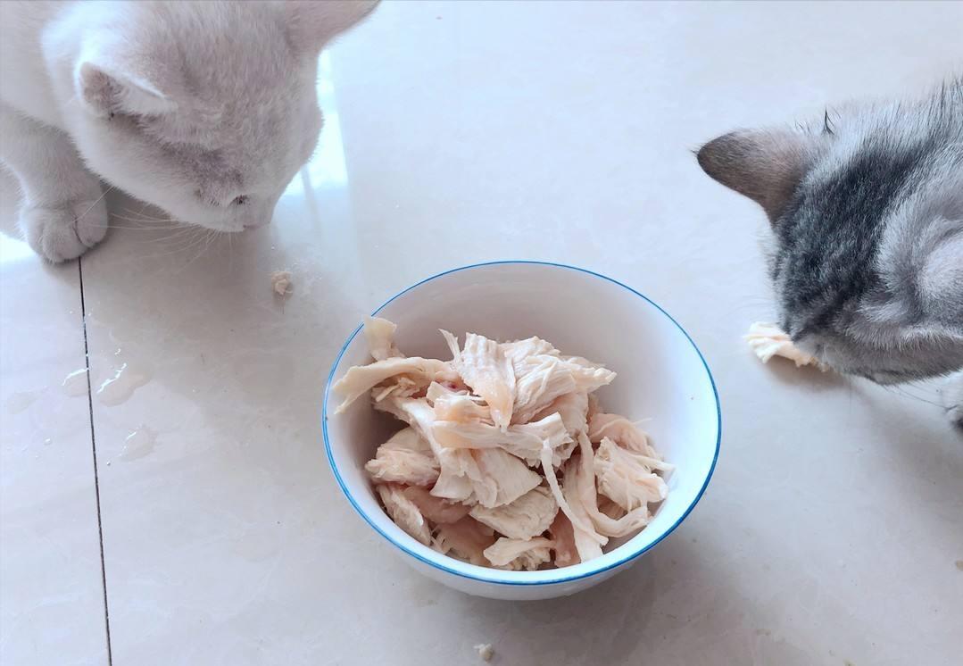 猫咪吃什么毛发光泽,猫咪吃什么毛长得好看