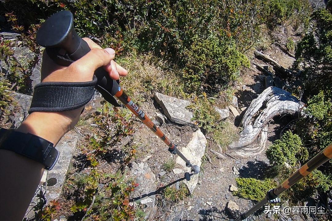 登山杖使用攻略,登山杖用法登山需要佩戴手套吗