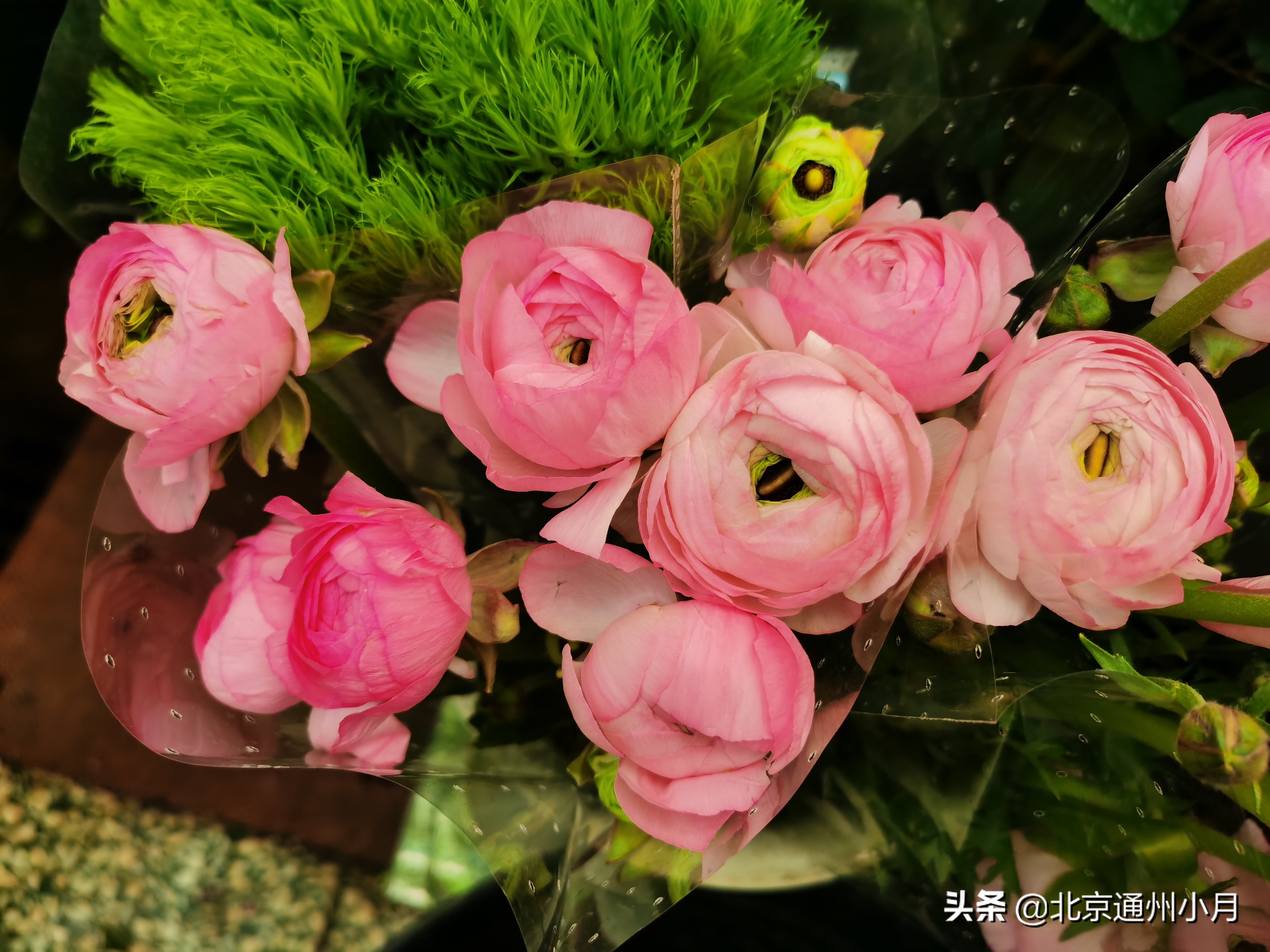 北京周边大型花市,北京花市推荐