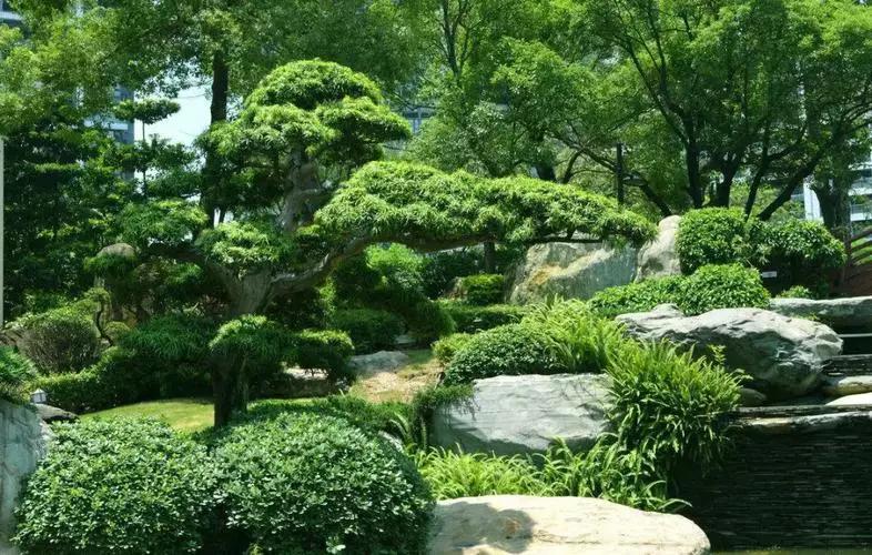 园林景观设计师证怎么报考,园林景观设计师证怎么考取