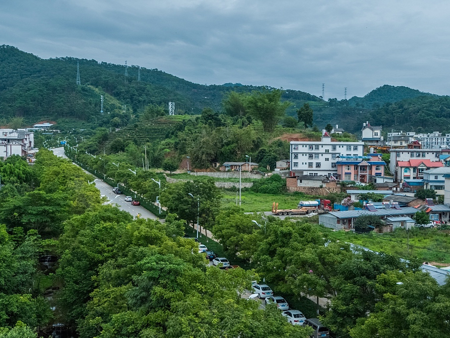 西双版纳附近更适合养老的小城,云南西双版纳最适合养老