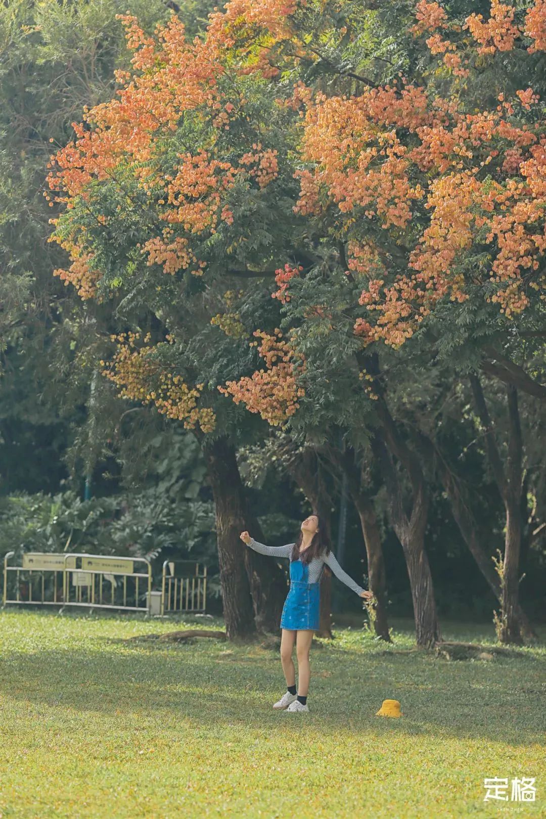 深圳地铁能直达的免费景点宝安区,深圳地铁直达免费玩的海滩
