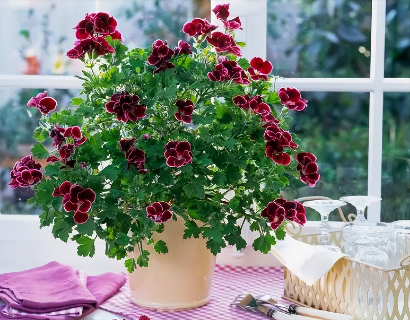 种花浇水20天盆没干能浇水吗,室内种花浇水不漏水