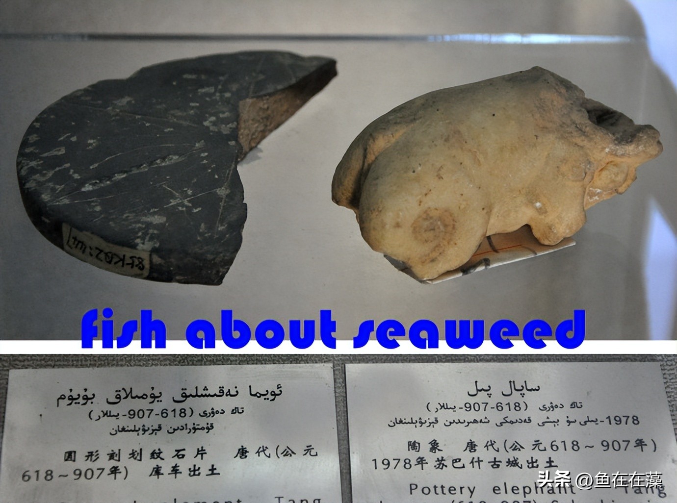 55西进西域·新：库车王府，龟兹文明的橱窗；清代边疆政策范本