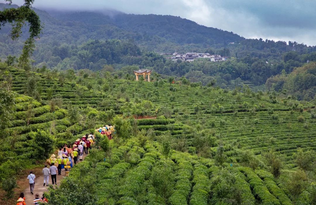 腾冲茶山高空漂流,腾冲市清河茶山高空玻璃漂流位置