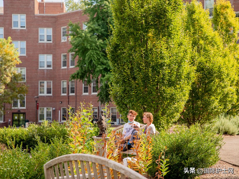 美国纽约本科护理学校,留学纽约州立大学护理专业