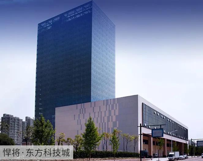 悍将运动袜,hnk悍将运动袜旗舰店