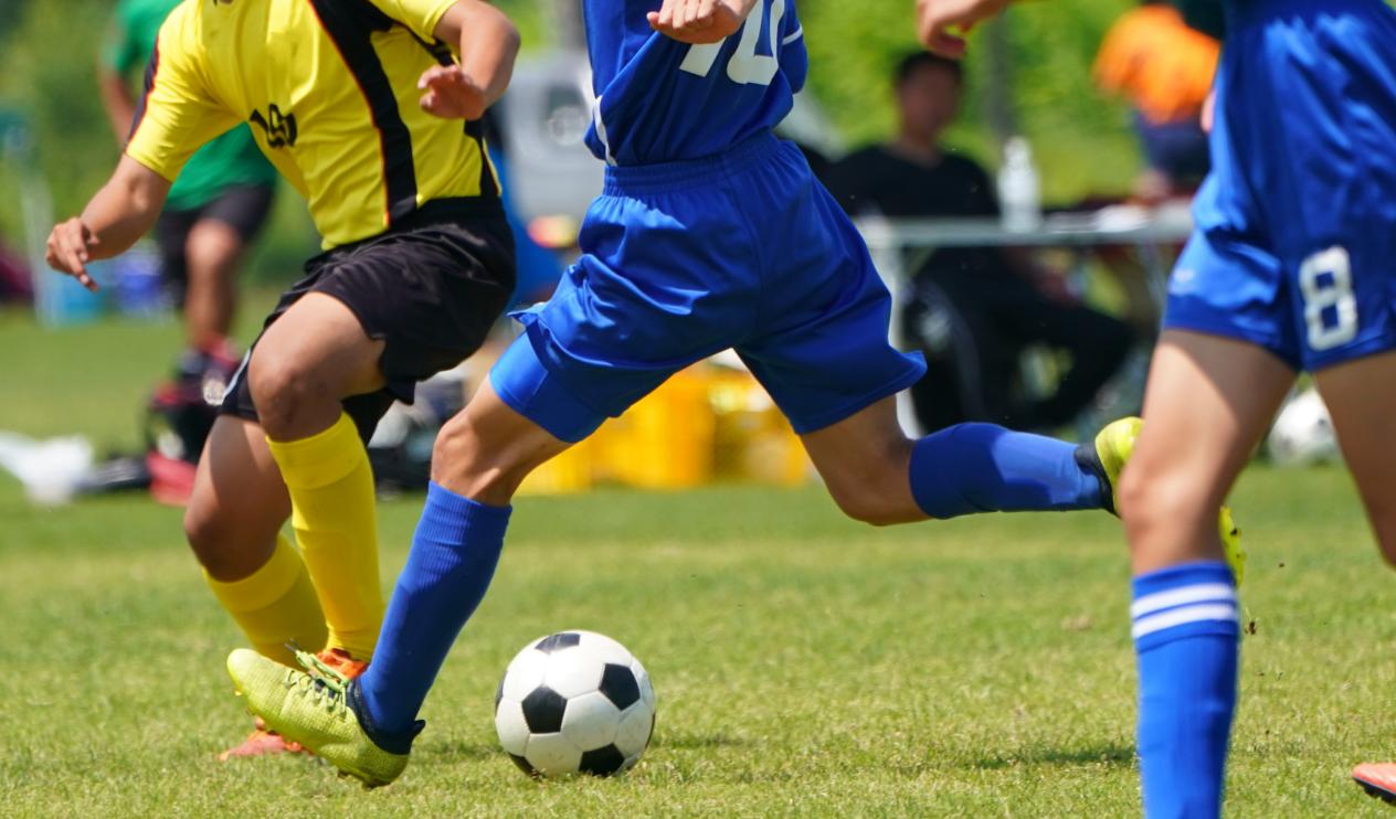 怎样保护膝关节及锻炼,膝关节前交叉韧带怎么拉伸