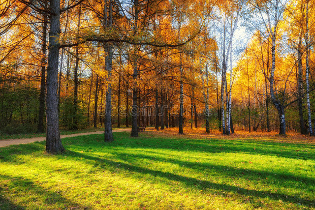 那天下午六点钟，中专时的同学发微信让我安排住宿，我选择了拉黑