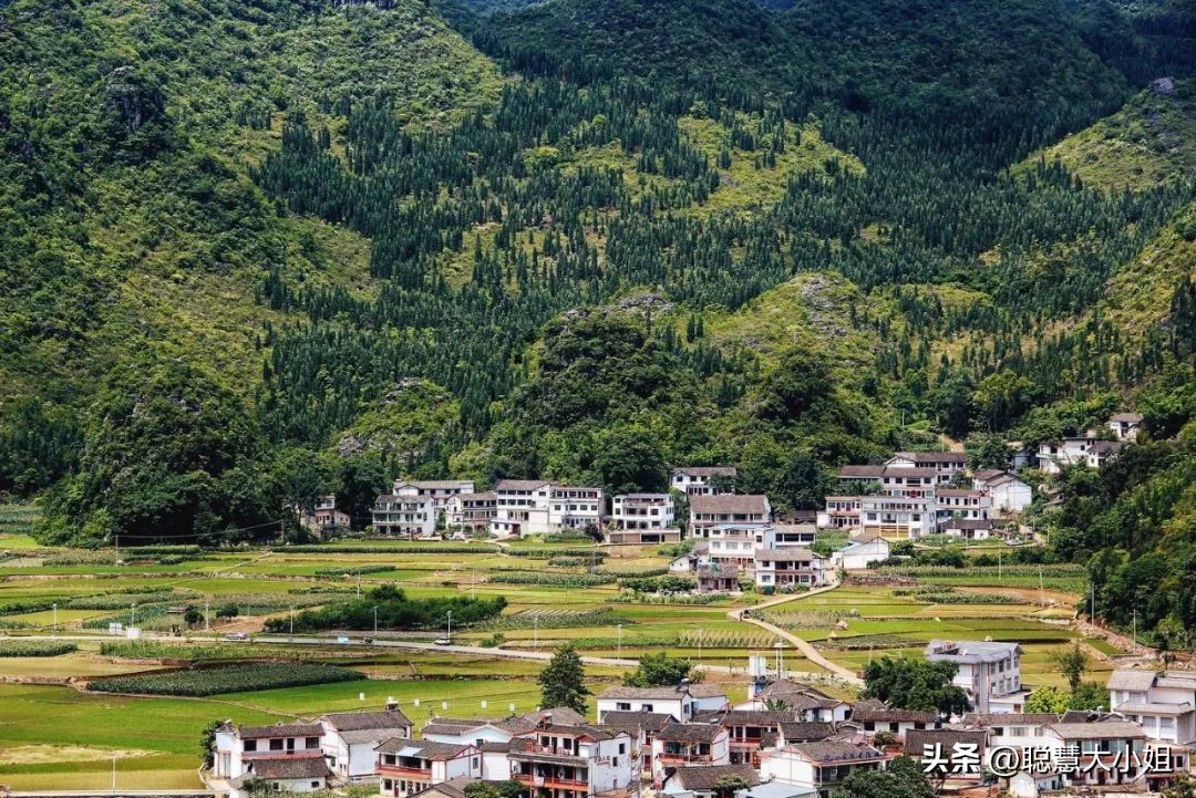 贵州兴义万峰林油菜花盛开时期,贵州兴义风景区万峰林