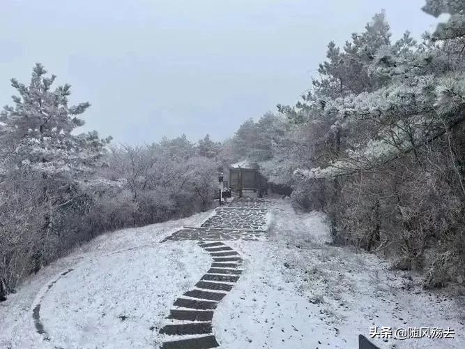为什么说瑞雪兆丰年下一句,为什么说瑞雪兆丰年简单解释
